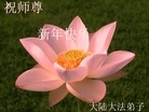 Published on 2/14/2013 ���ֹ�,��½�󷨵��ӹ�ףʦ������ã�45����

