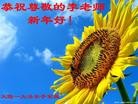 Published on 2/14/2013 ���ֹ�,��½�󷨵��ӹ�ףʦ������ã�45����
