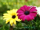 Published on 2/14/2013 ���ֹ�,��½�󷨵��ӹ�ףʦ������ã�42����
