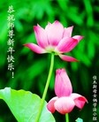 Published on 2/15/2013 ���ֹ�,��½�󷨵��Ӽ����繧ףʦ�����ã�86����
