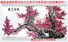 Published on 2/13/2013 ���ֹ�,��½���һ��ش󷨵�����ʦ����꣨18����
