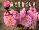 Published on 2/12/2013 ���ֹ�,��½�󷨵��ӹ�ףʦ�����ã�34����
