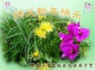 Published on 2/12/2013 ���ֹ�,��½�󷨵��ӹ�ףʦ�����ã�34����
