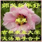 Published on 2/10/2013 ���ֹ�,����ϵͳ�󷨵��ӹ�ףʦ��������֣�23����
