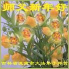 ���ֹ�,����ʡ�󷨵��ӹ�ףʦ��������֣�24����
