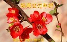 Published on 2/12/2013 ���ֹ�,�����󷨵��ӹ�ףʦ��������֣�19����
