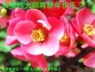 Published on 2/10/2013 ���ֹ�,�����󷨵��ӹ�ףʦ��������֣�20����
