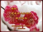 Published on 2/10/2013 ���ֹ�,��½�󷨵��ӹ�ףʦ��������֣�38����
