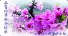 Published on 2/10/2013 ���ֹ�,��½�󷨵��ӹ�ףʦ��������֣�38����
