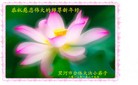 Published on 2/10/2013 ���ֹ�,��½�󷨵��ӹ�ףʦ��������֣�32����
