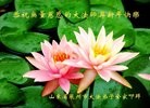 Published on 2/10/2013 ���ֹ�,��½�󷨵��ӹ�ףʦ��������֣�23����
