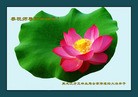 ���ֹ�,�������󷨵��ӹ�ףʦ������ã�42����

