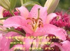 Published on 2/10/2013 ���ֹ�,��½�󷨵��ӹ�ףʦ�����ã�32����
