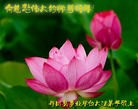 Published on 2/11/2013 ���ֹ�,��½�󷨵��ӹ�ףʦ��������֣�27����

