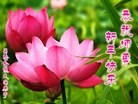 Published on 2/13/2013 ���ֹ�,��½�󷨵��ӹ�ףʦ��������֣�25����
