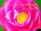 Published on 2/13/2013 ���ֹ�,��½�󷨵��ӹ�ףʦ��������֣�25����
