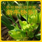 ���ֹ�,���ϴ󷨵��ӹ�ףʦ������ã�20����
