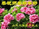 Published on 2/13/2013 ���ֹ�,��½�󷨵��ӹ�ףʦ��������֣�25����
