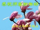 Published on 2/13/2013 ���ֹ�,��½�󷨵��ӹ�ףʦ��������֣�25����
