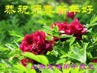 Published on 2/13/2013 ���ֹ�,��½�󷨵��ӹ�ףʦ��������֣�25����
