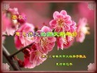 Published on 2/13/2013 ���ֹ�,��½�󷨵��ӹ�ףʦ��������֣�30����
