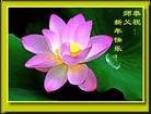 Published on 2/9/2013 ���ֹ�,���Ƿ���Ѻ�Ĵ󷨵��ӹ�ףʦ��������֣�18����
