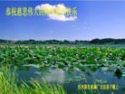 Published on 2/13/2013 ���ֹ�,��½�󷨵��ӹ�ףʦ��������֣�31����
