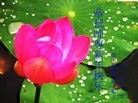 Published on 2/10/2013 ���ֹ�,��½�󷨵��ӹ�ףʦ��������֣�32����
