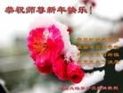 Published on 2/13/2013 ���ֹ�,��½�󷨵��ӹ�ףʦ��������֣�35����
