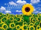 Published on 2/12/2013 ���ֹ�,���Ƿ���Ѻ�Ĵ󷨵��ӹ�ףʦ������ã�20����
