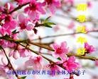 Published on 2/13/2013 ���ֹ�,��½�󷨵��ӹ�ףʦ��������֣�35����
