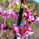 ���ֹ�,����ʡ�󷨵��ӹ�ףʦ��������֣�24����
