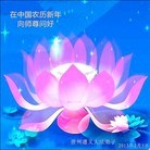 ���ֹ�,���ݴ󷨵��ӹ�ףʦ��������֣�20����
