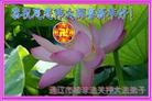 Published on 2/12/2013 ���ֹ�,���Ƿ���Ѻ�Ĵ󷨵��ӹ�ףʦ������ã�20����
