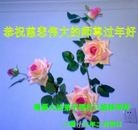 ���ֹ�,�����󷨵��ӹ�ףʦ������(24��)
