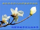 Published on 2/10/2013 ���ֹ�,�����󷨵��ӹ�ףʦ������ã�19����
