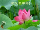 Published on 2/11/2013 ���ֹ�,��½�󷨵��ӹ�ףʦ������ã�21����
