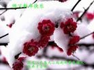 Published on 2/11/2013 ���ֹ�,��½�󷨵��ӹ�ףʦ������ã�21����
