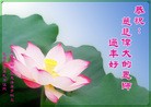Published on 2/11/2013 ���ֹ�,��½�󷨵��ӹ�ףʦ������ã�15����
