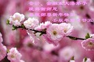Published on 2/11/2013 ���ֹ�,��½�󷨵��ӹ�ףʦ������ã�16����
