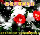 Published on 2/11/2013 ���ֹ�,��½�󷨵��ӹ�ףʦ������ã�15����
