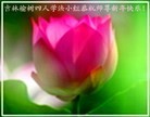 Published on 2/10/2013 ���ֹ�,��½�󷨵��ӹ�ףʦ������ã�19����
