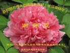 Published on 2/10/2013 ���ֹ�,��½�󷨵��ӹ�ףʦ������ã�19����
