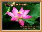 Published on 2/11/2013 ���ֹ�,��½�󷨵��ӹ�ףʦ������ã�15����
