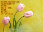 Published on 2/10/2013 ���ֹ�,��½�󷨵��ӹ�ףʦ������ã�19����

