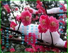 Published on 2/11/2013 ���ֹ�,��½�󷨵��ӹ�ףʦ������ã�15����
