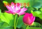Published on 2/11/2013 ���ֹ�,��½�󷨵��ӹ�ףʦ������ã�14����
