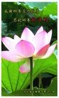 Published on 2/13/2013 ���ֹ�,��½�󷨵��ӹ�ףʦ������ã�23����
