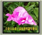 Published on 2/11/2013 ���ֹ�,��½�󷨵��ӹ�ףʦ������ã�14����
