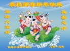Published on 2/11/2013 ���ֹ�,��½�󷨵��ӹ�ףʦ������ã�15����

